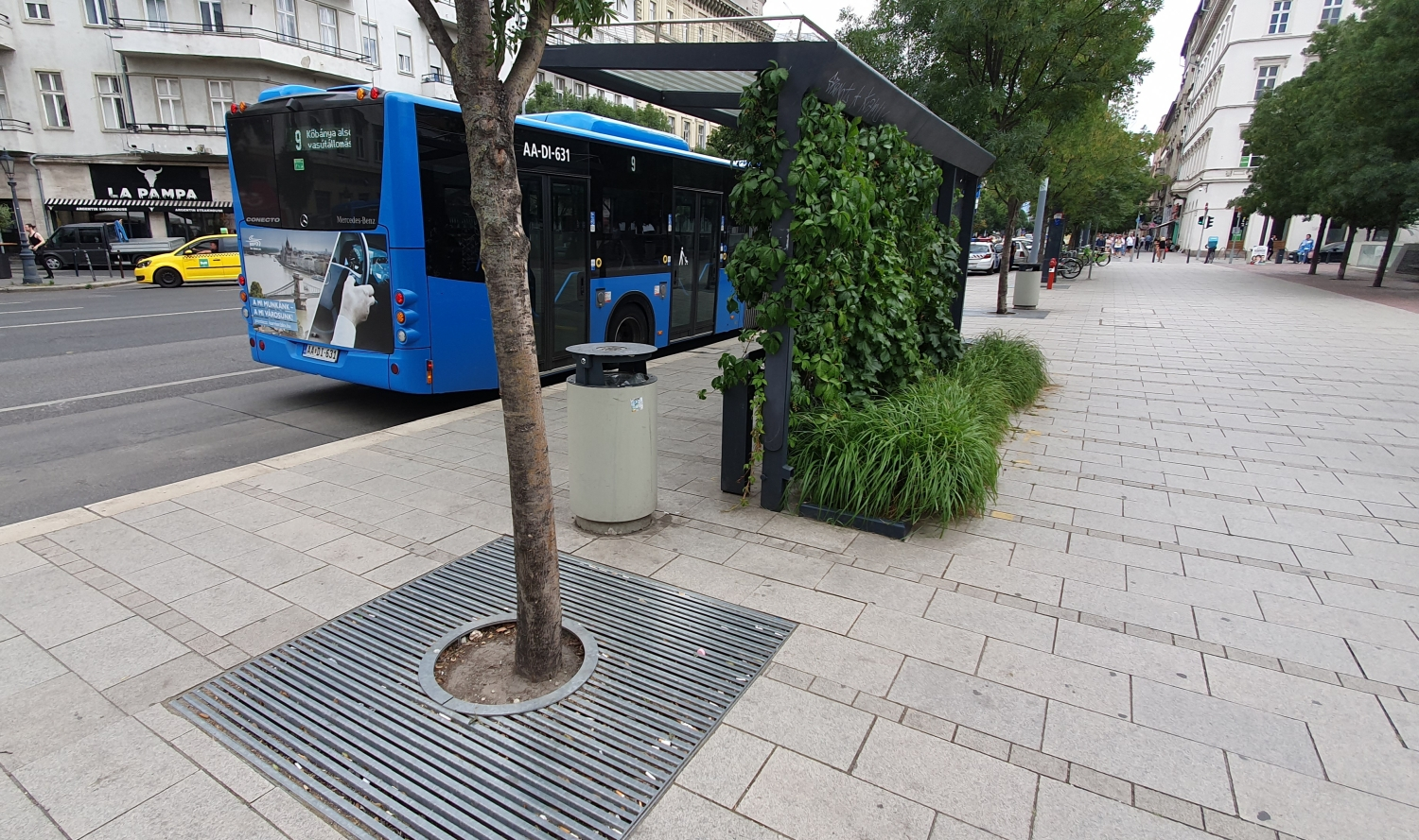 A blue city bus is parked on a street next to a wide sidewalk with light-colored paving stones. In the foreground, there is a tree with a metal grate around its base and a trash bin, near a shelter covered with green plants.