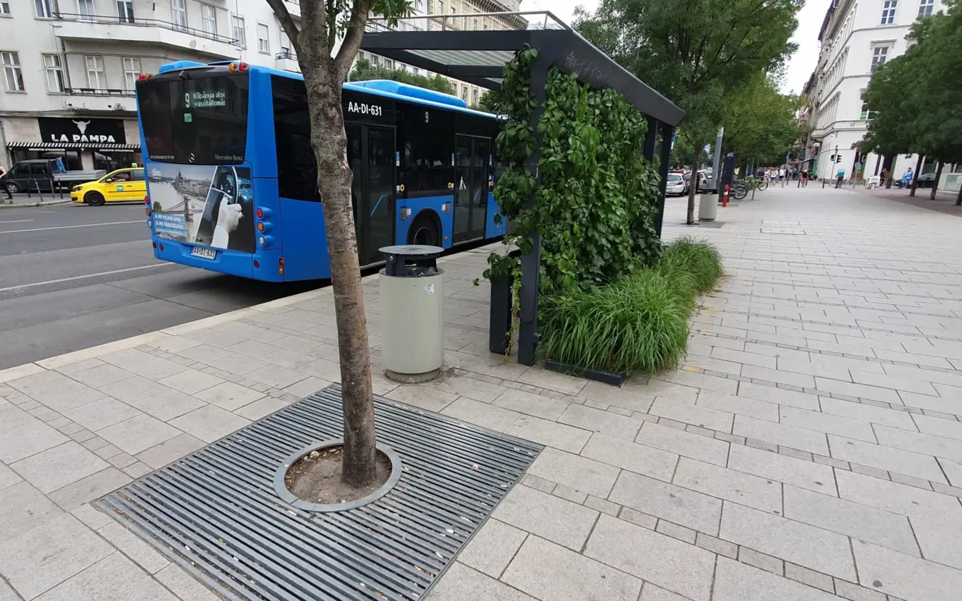 A blue city bus is parked on a street next to a wide sidewalk with light-colored paving stones. In the foreground, there is a tree with a metal grate around its base and a trash bin, near a shelter covered with green plants.