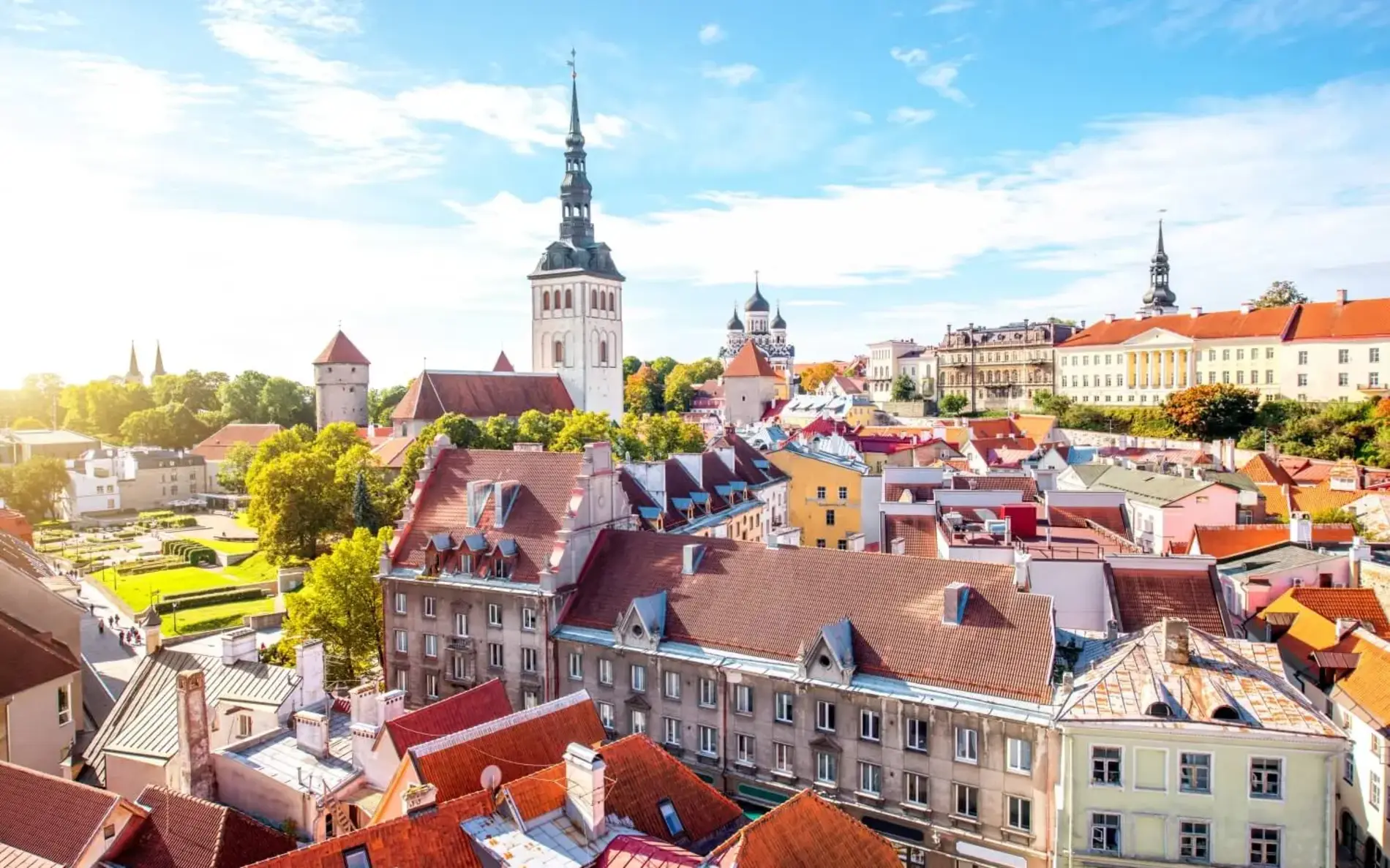 Altstadt in Tallin Estland mit Blick über die Häuser auf den Kirchturm