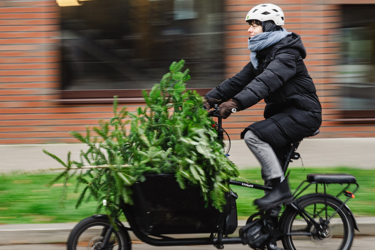 Frau auf Transportrad mit Weihnachtsbaum in der vorderen Transportbox