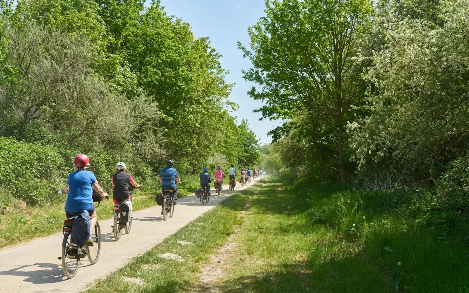 Pensionistinnen fahren hintereinander mit dem Rad auf einem Radweg im Grünen