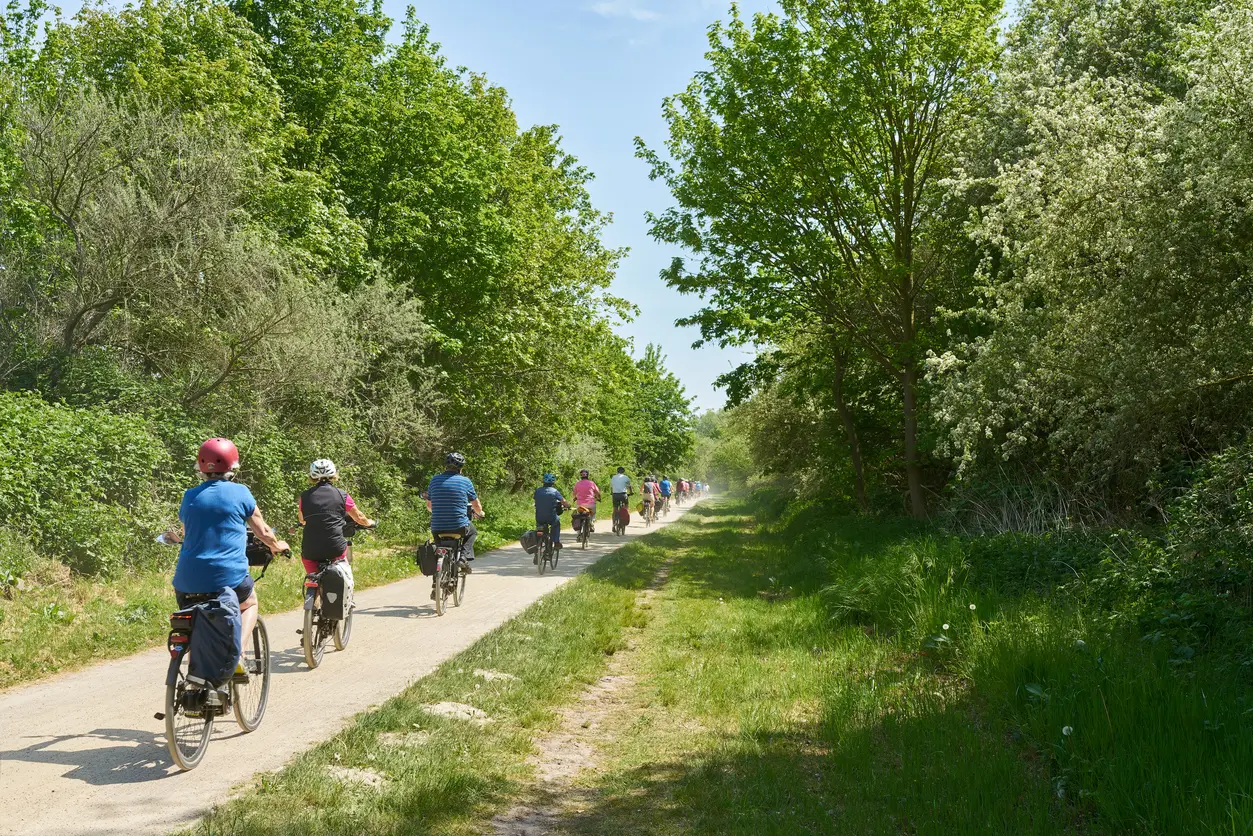 Pensionistinnen fahren hintereinander mit dem Rad auf einem Radweg im Grünen